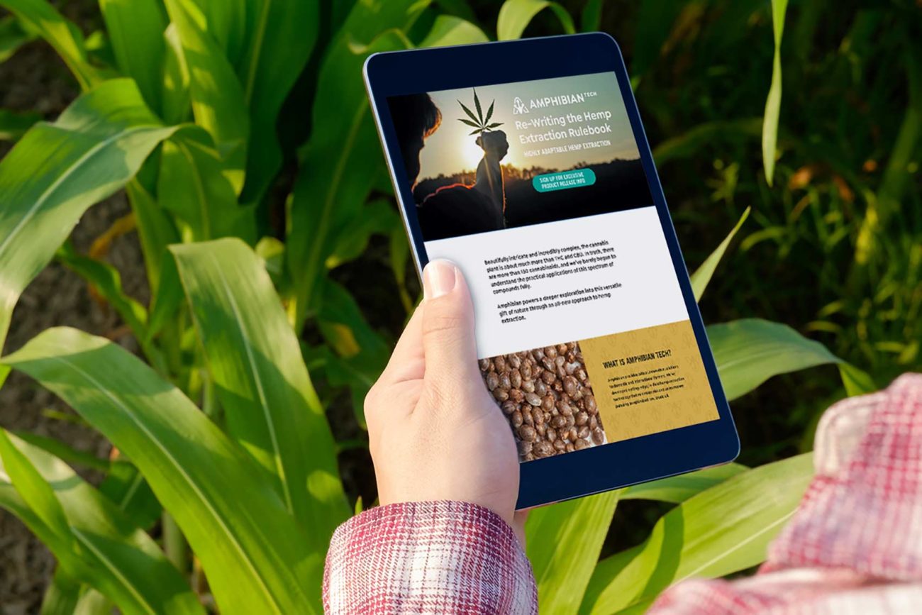 Amphibian Tech Web Development