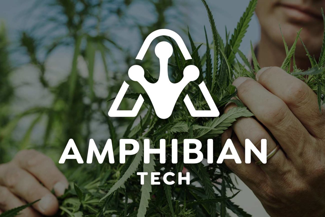 Amphibian Tech Logo Development