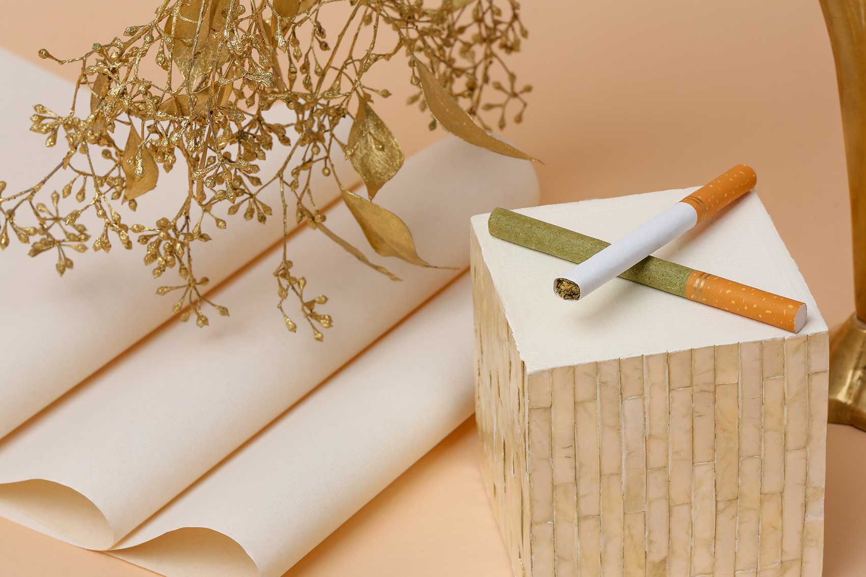 Photoshoot of Botani Hemp Wrapped Cigarettes