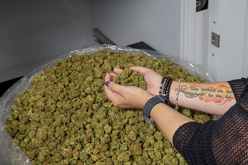 XRPure: Safe Cannabis