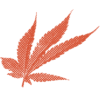 Burnt Orange Halftone Cannabis Leaf