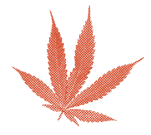 cannabis leaf in burnt orange halftone